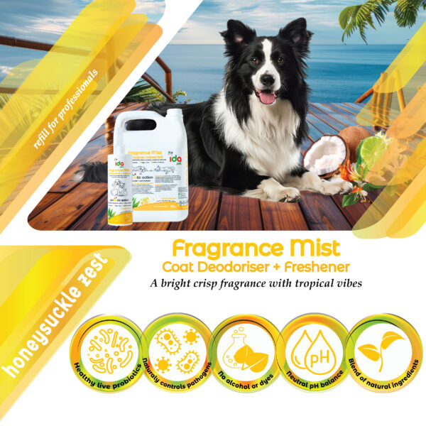 Fragrance Mist Professional- Coat Deodoriser & Freshener Refill- Honeysuckle Zest - 5L - Image 2